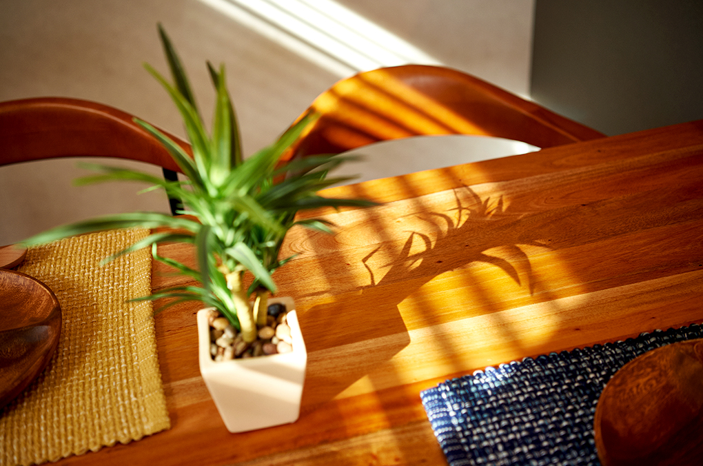 家づくりの様子